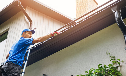 Gutter Cleaning
